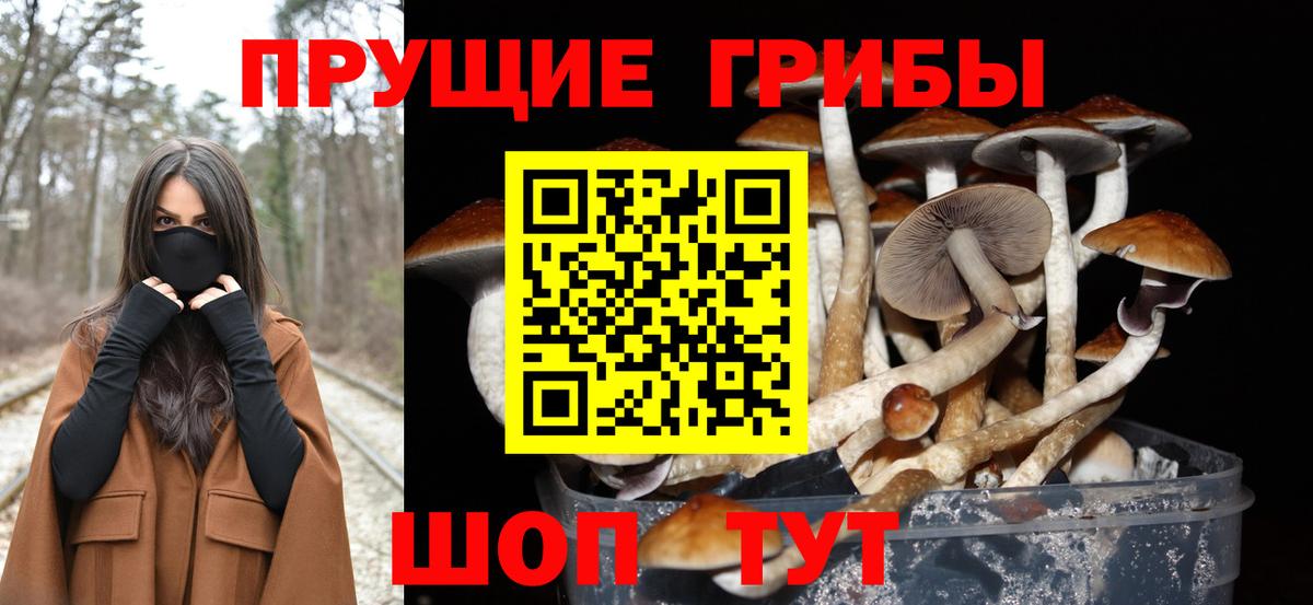Галлюциногенные грибы прущие грибы Омск